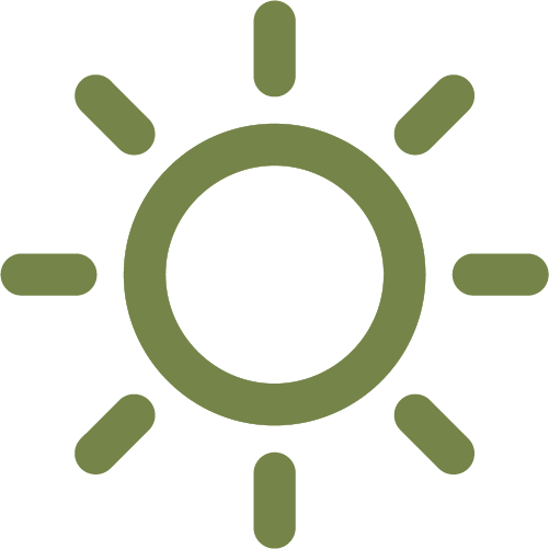 Sunlight Icon